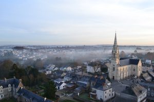 Les Bouleaux